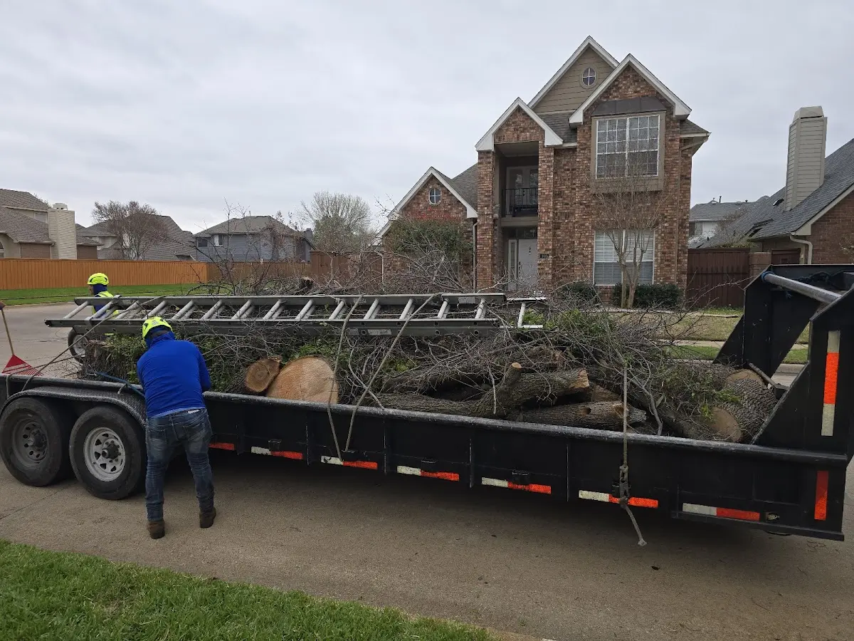 Expert Tree Pest Control with proper safety equipment in Braham